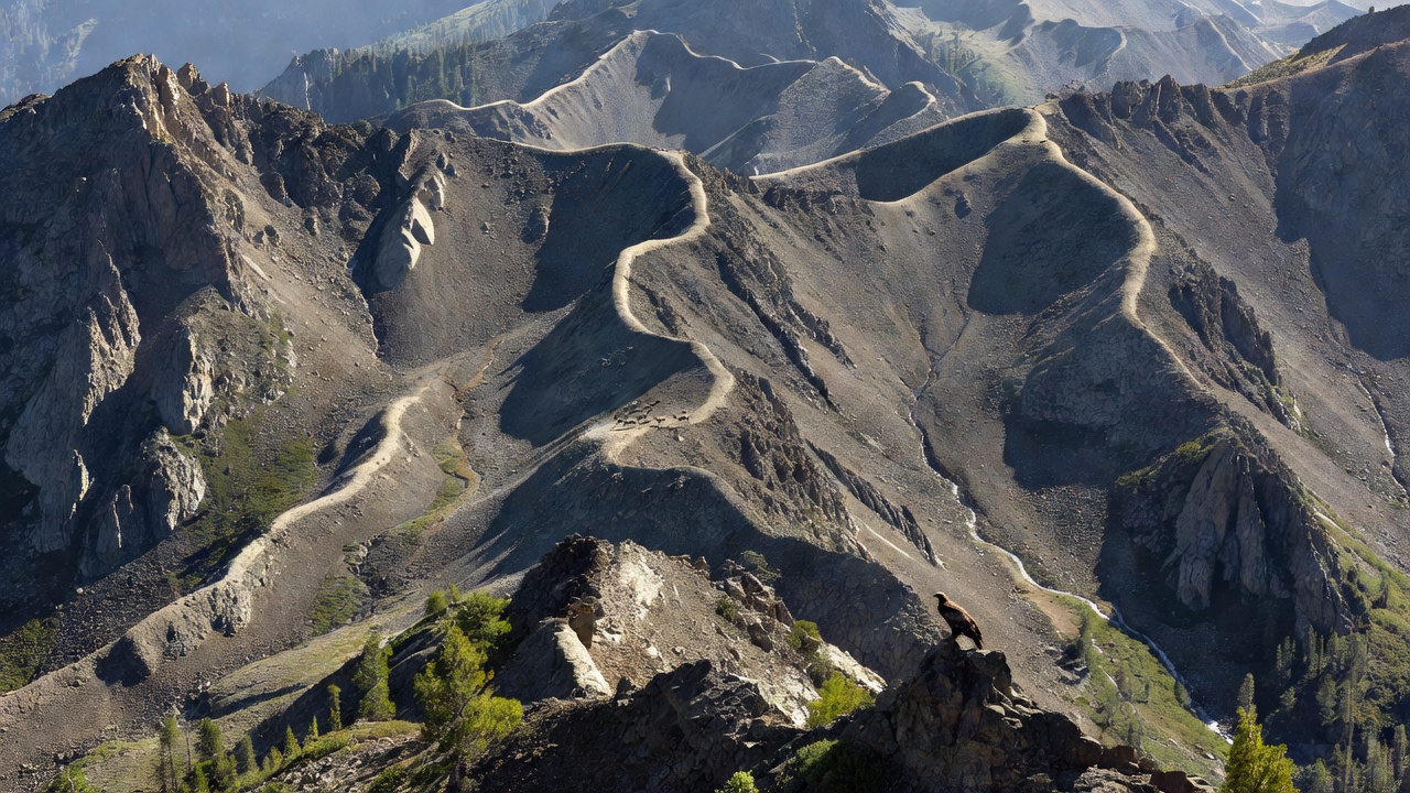 Key Numerical Facts About Ridges and Edges